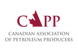 capp_formatted